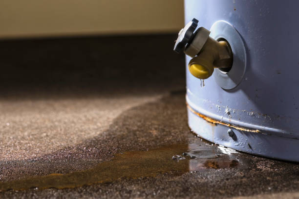 Best Water damage restoration near me  in Waynesville, MO