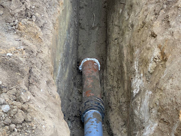 Best Sewage cleanup and water damage restoration  in Waynesville, MO