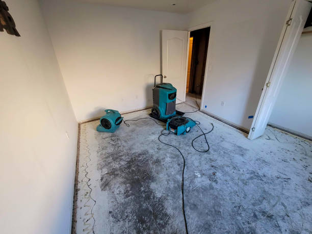 Trusted Waynesville, MO Water damage restoration Experts