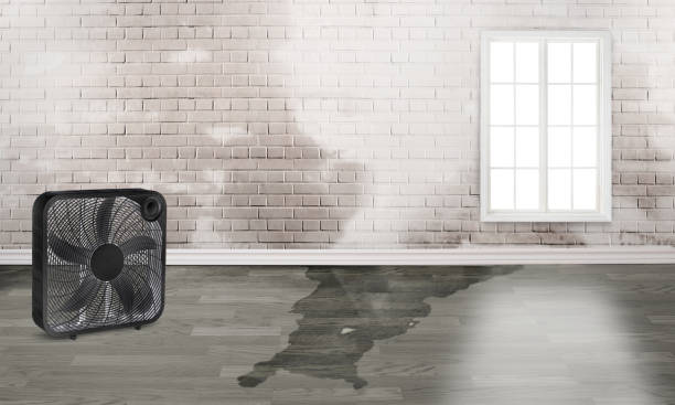 Trusted Waynesville, MO Water damage restoration Experts