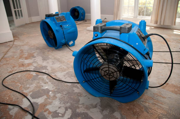 Carpet water damage restoration in Waynesville, MO