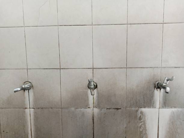 Best Flooded house restoration  in Waynesville, MO