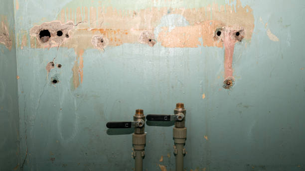 Best Water damage restoration near me  in Waynesville, MO
