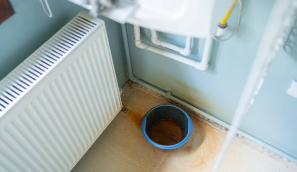 Best Local water damage restoration  in Waynesville, MO
