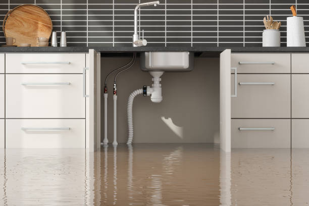Best Professional water damage repair  in Waynesville, MO