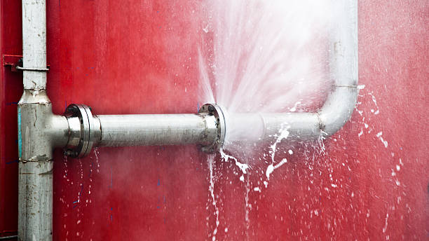 Best Water damage cleanup near me  in Waynesville, MO
